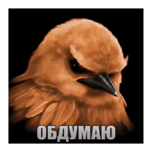 Эмодзи Birds Memes