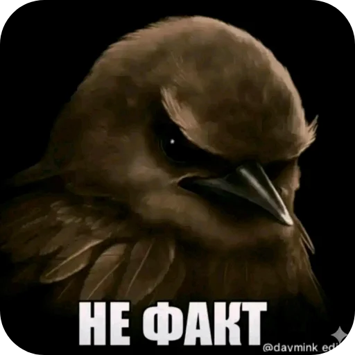 Эмодзи Birds Memes