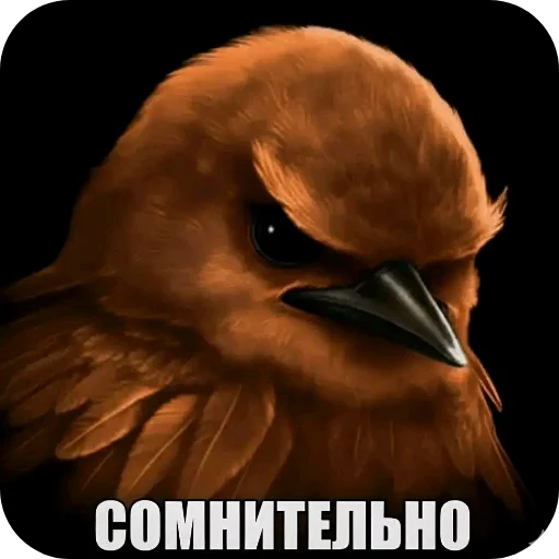 Эмодзи Birds Memes