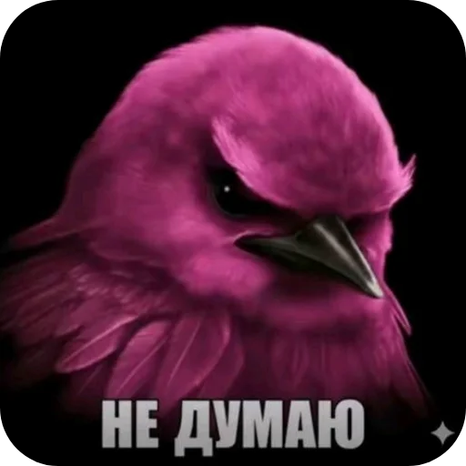 Эмодзи Birds Memes