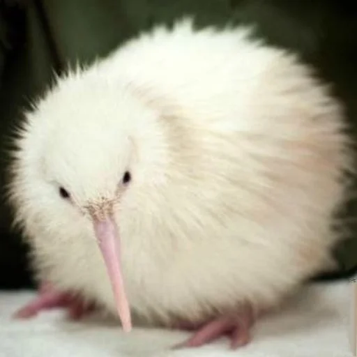 Эмодзи Птички