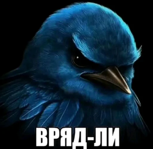Эмодзи Birds Memes