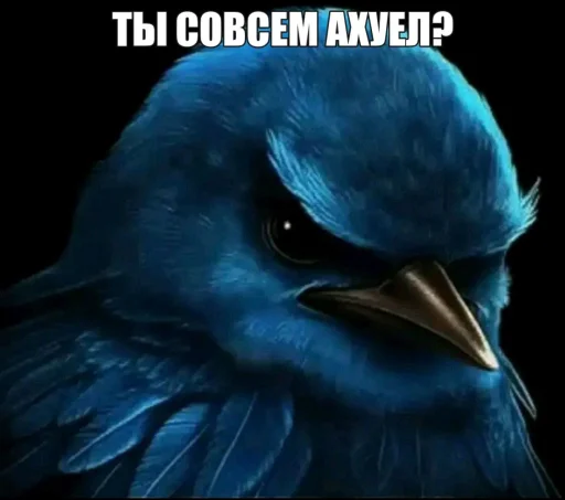 Эмодзи Birds Memes