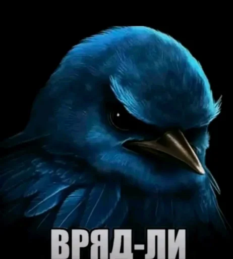Эмодзи Birds Memes