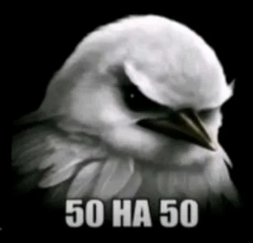 Эмодзи Birds Memes