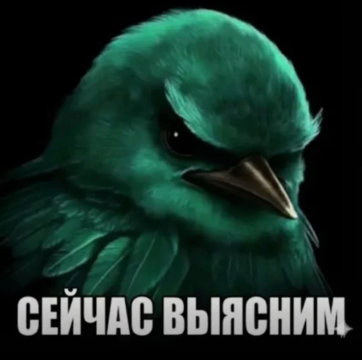 Эмодзи Birds Memes