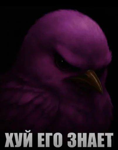 Эмодзи Birds Memes