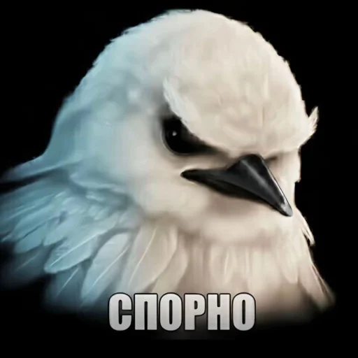 Эмодзи Birds Memes