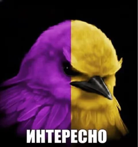 Эмодзи Birds Memes