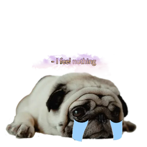 Эмодзи PUG
