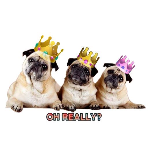 Эмодзи PUG