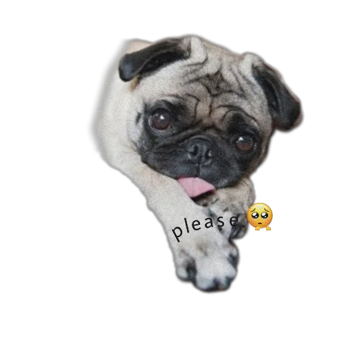 Эмодзи PUG