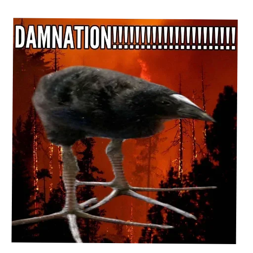 Эмодзи Пукеко