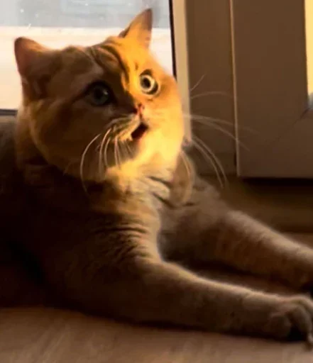 Эмодзи PussyPaw