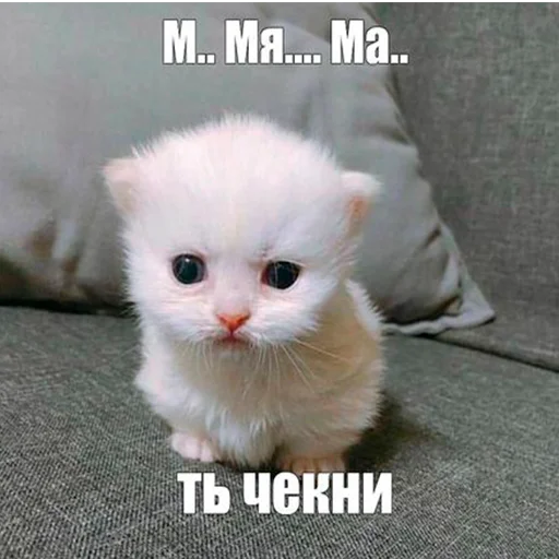 Эмодзи Pussys ➡️