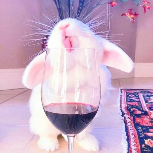 Эмодзи ᭝݊sOft rabbit ⵓ ⿴༘͜᭼̣ꪆ