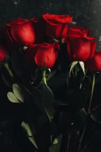 Эмодзи RED Colour