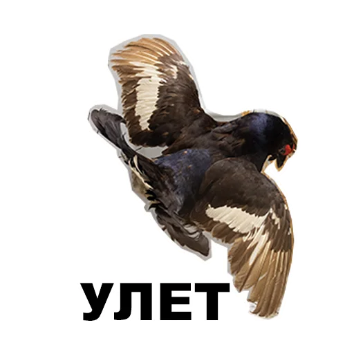 Эмодзи Среда обитания
