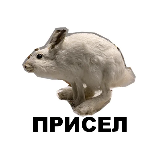 Эмодзи Среда обитания