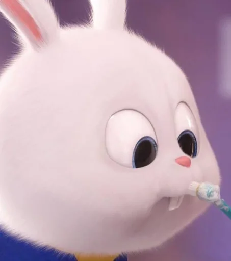 🐰