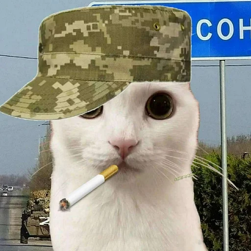 Эмодзи Ramin Afire Airs