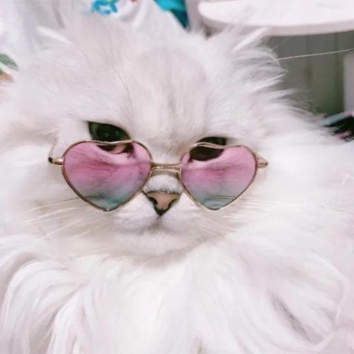 Эмодзи Cats | Котики