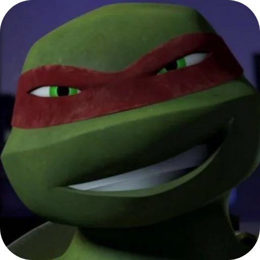 🐢