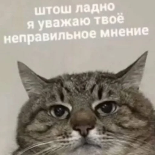 Эмодзи Общение
