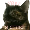Эмодзи Кошка разговора