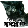 Эмодзи Кошка разговора