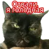 Эмодзи Кошка разговора