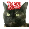 Эмодзи Кошка разговора