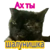 Эмодзи Кошка разговора