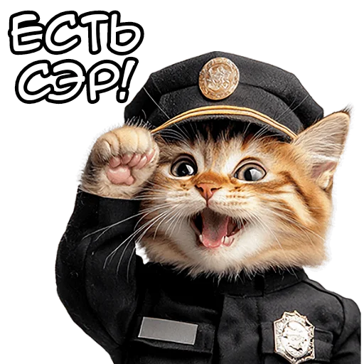 Эмодзи Кот полицейский