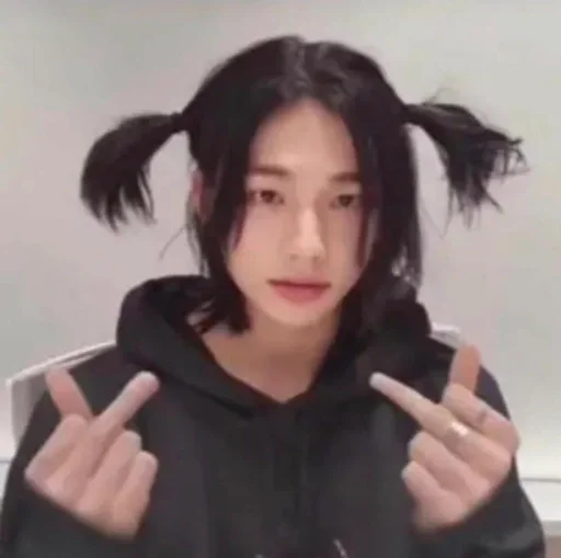 Эмодзи Stray Kids