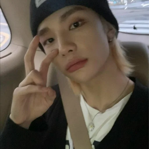 Эмодзи Stray Kids