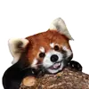 Эмодзи Red Panda