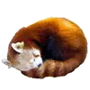 Эмодзи Red Panda
