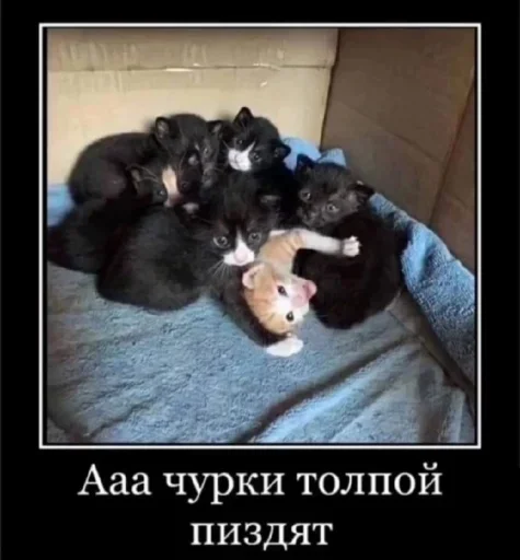 Эмодзи чвк редан