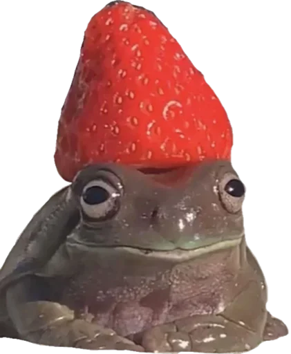 ?