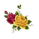 Эмодзи Roses