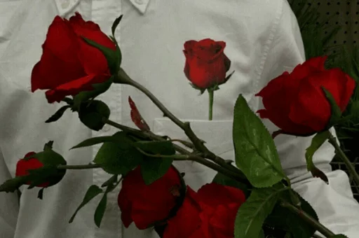 Эмодзи Rose 🌹