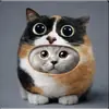😹