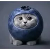 Эмодзи Круглые коты