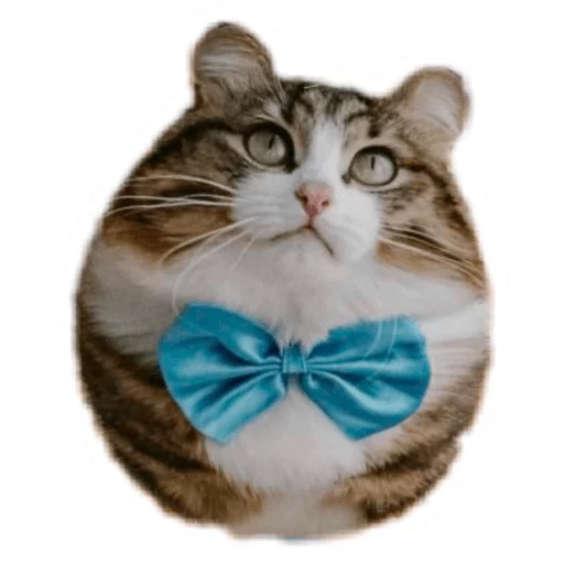 Эмодзи Round Animals