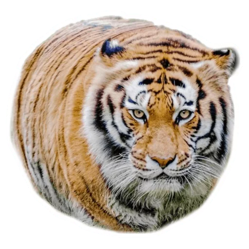 Эмодзи Round Animals