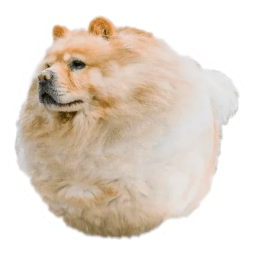 Эмодзи Round Animals