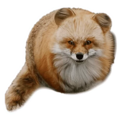 Эмодзи Round Animals