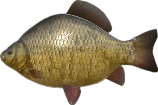 Эмодзи Russian Fishing 4