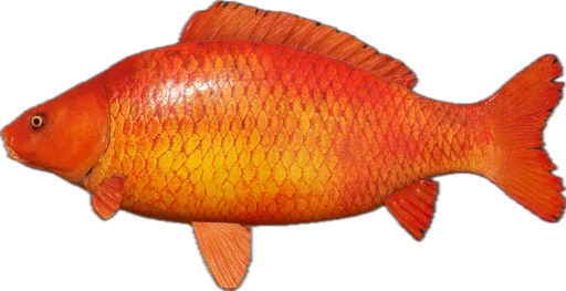 Эмодзи Russian Fishing 4